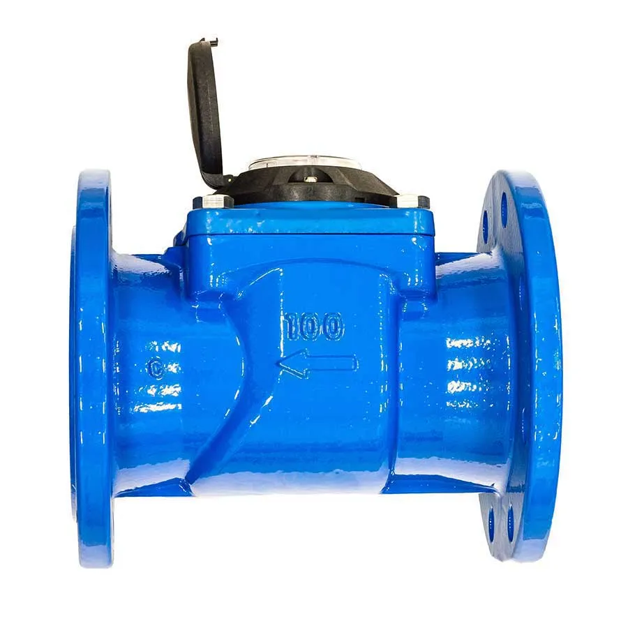 Счетчик воды ВСХН 100