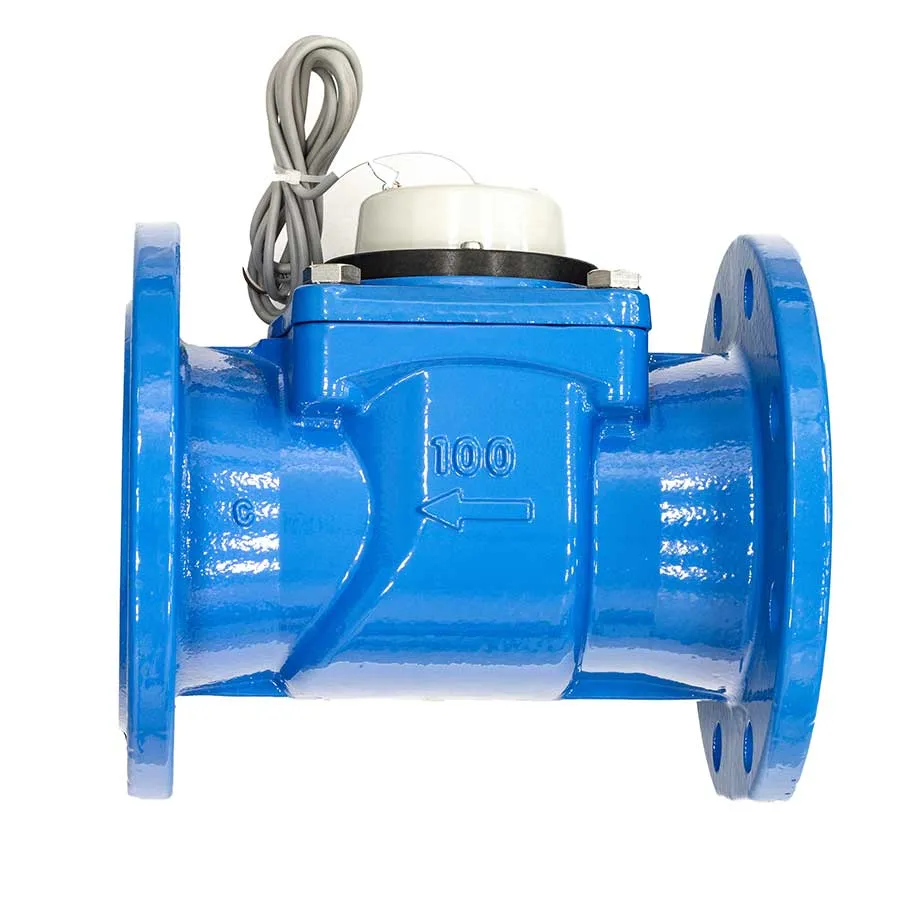 Счетчик воды ВСХНд 100