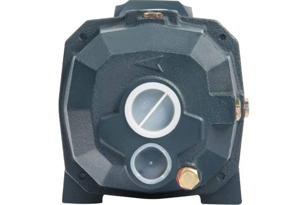 Поверхностный насос UNIPUMP DP 750